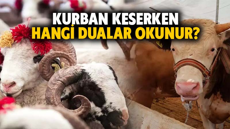 Kurban keserken hangi dualar okunur?