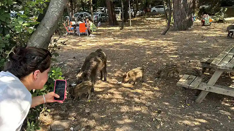 Kuşadası ve Didim’de sıcaktan bunalanlar sahilde vakit geçirdi