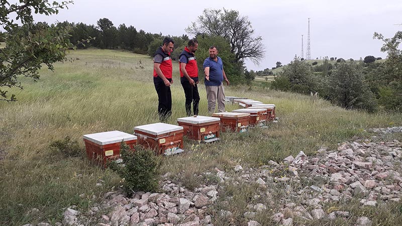 Kütahya’da ayı saldırısına uğrayan üretici unutulmadı