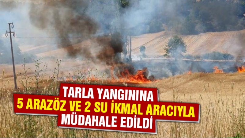 Kütahya’da tarlada çıkan yangın ağaçlık alana sıçramadan söndürüldü