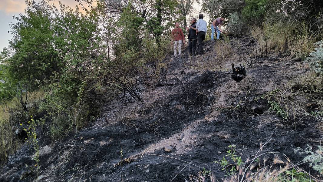 Kütahya’daki ot yangınını mahalleli ve itfaiye söndürdü