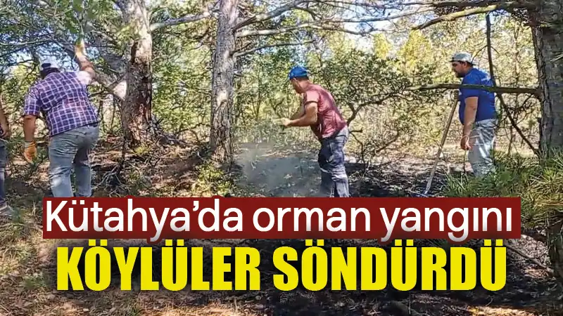 Kütahya’da çıkan orman yangınını köylüler söndürdü