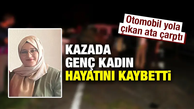 Kütahya’nın Altıntaş ilçesinde, otomobilin