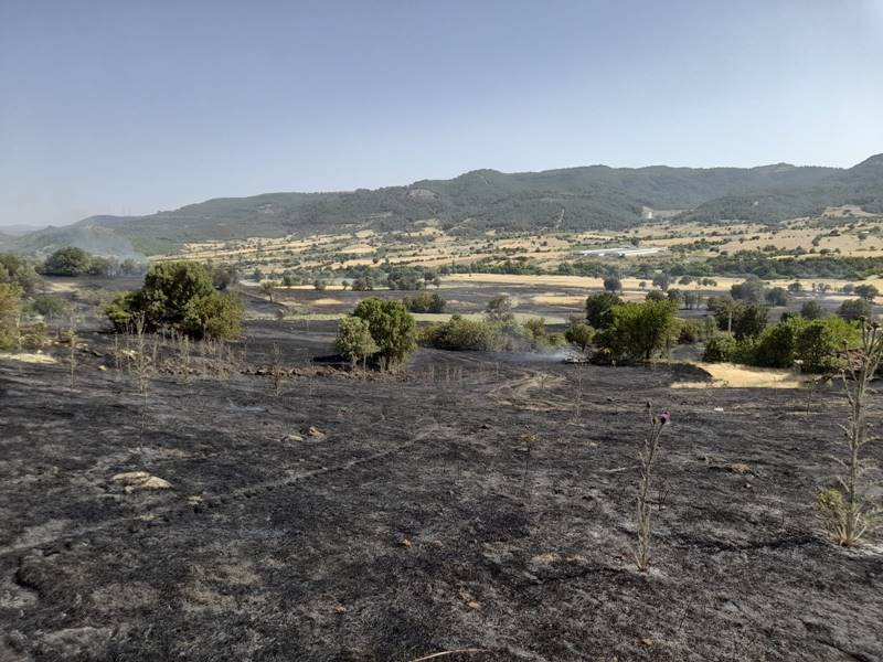 Manisa’da ormana sıçrayan yangın kontrol altına alındı