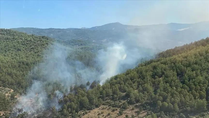 Muğla’nın Milas ilçesinde çıkan orman yangını söndürüldü