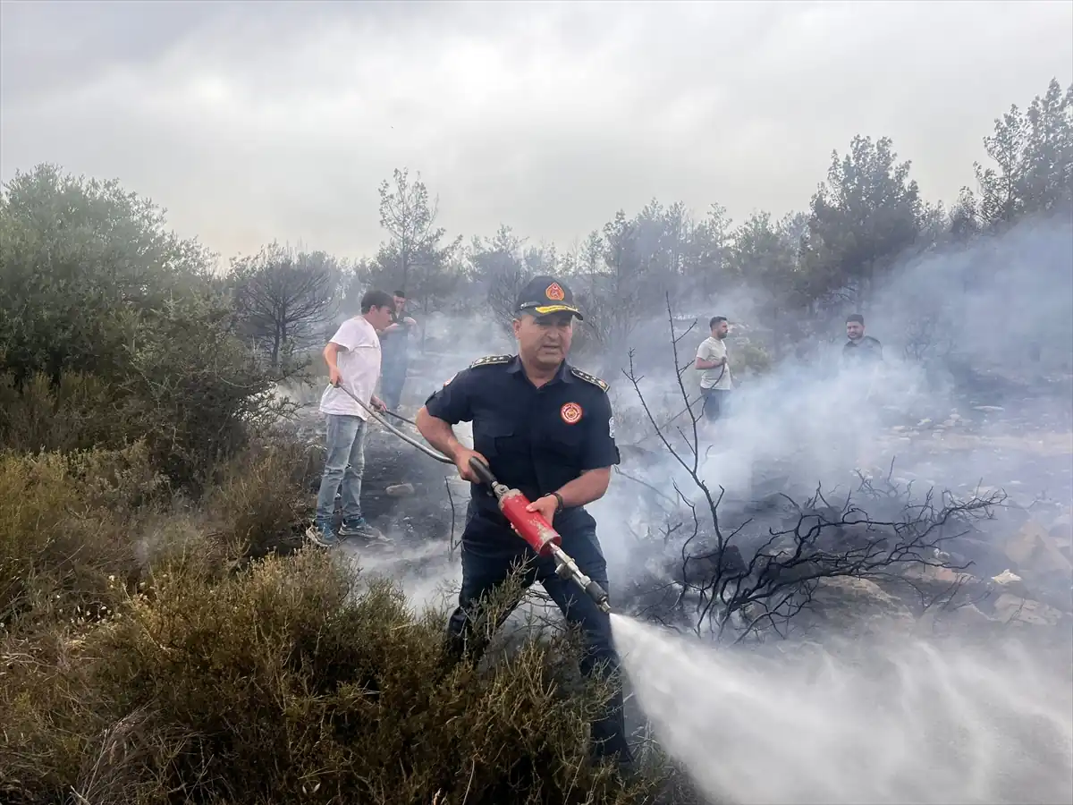 Muğla'nın Milas ilçesinde orman yangını çıktı