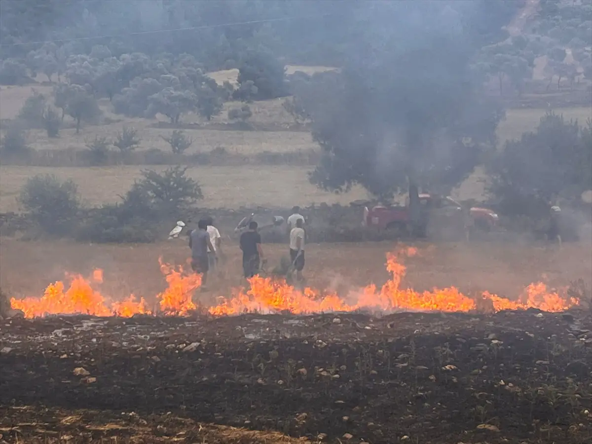 Muğla’nın Milas ilçesinde orman yangını çıktı