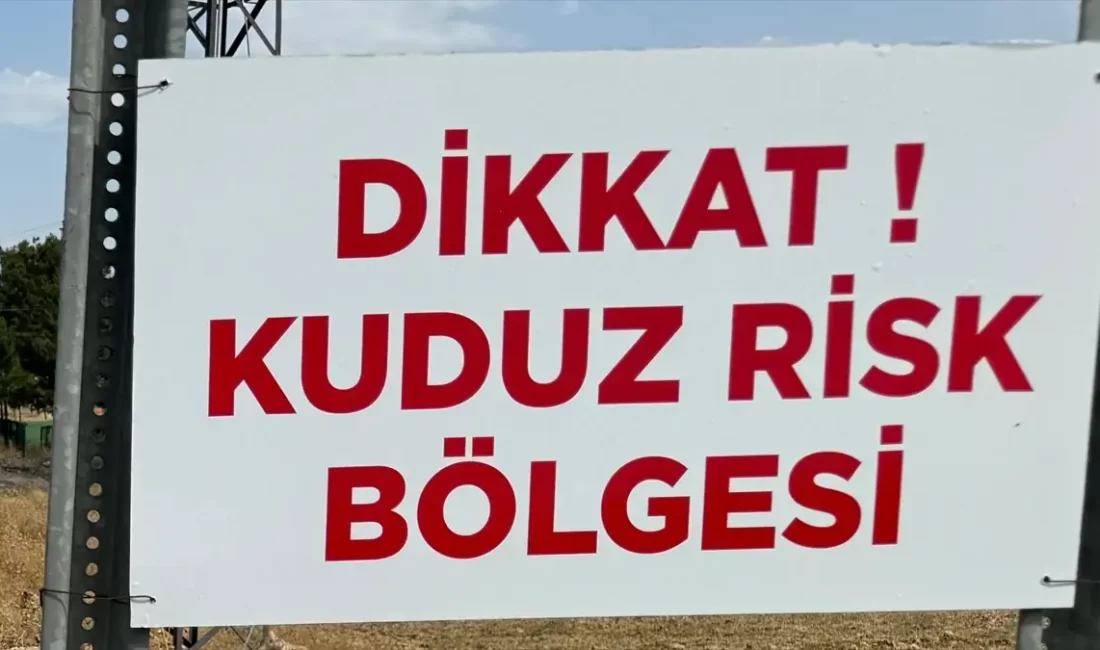 Niğde'nin Bor ilçesinde sahipsiz