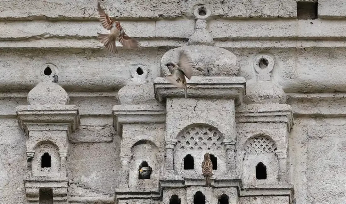 Osmanlı'daki kuş sarayları, Osmanlı