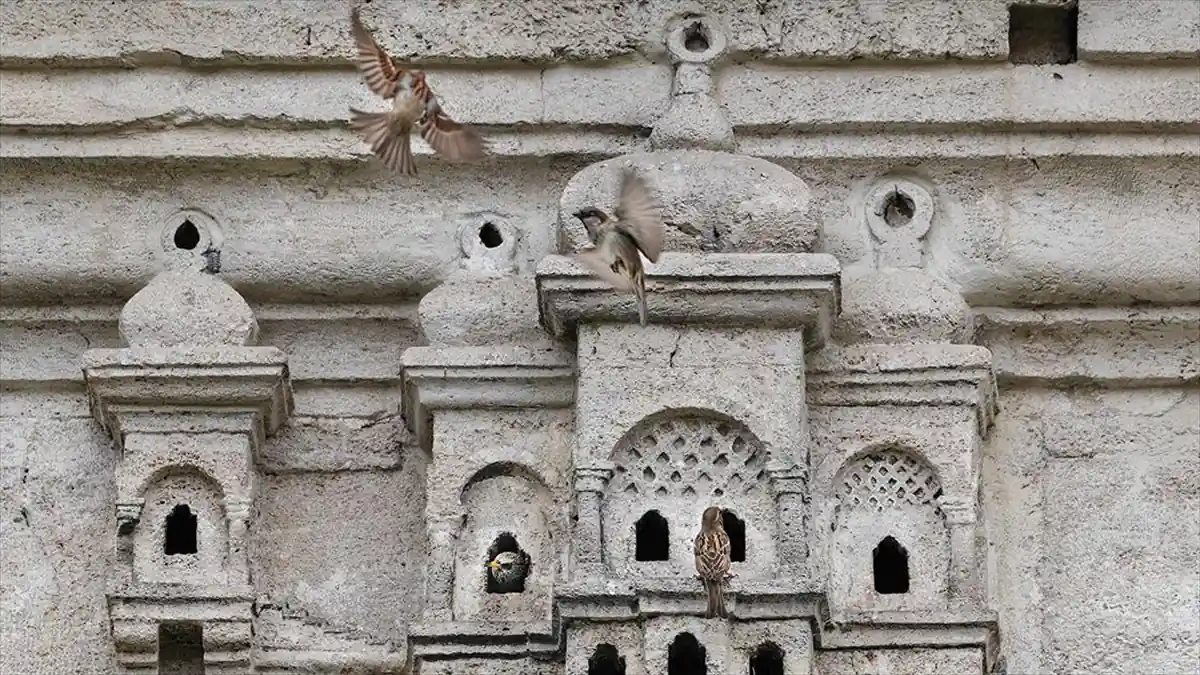 Osmanlı kuş sarayları 5 asırdır güzelliğini korunuyor