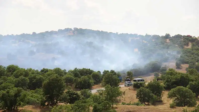 Tarladan meşelik alana sıçrayan yangın söndürüldü