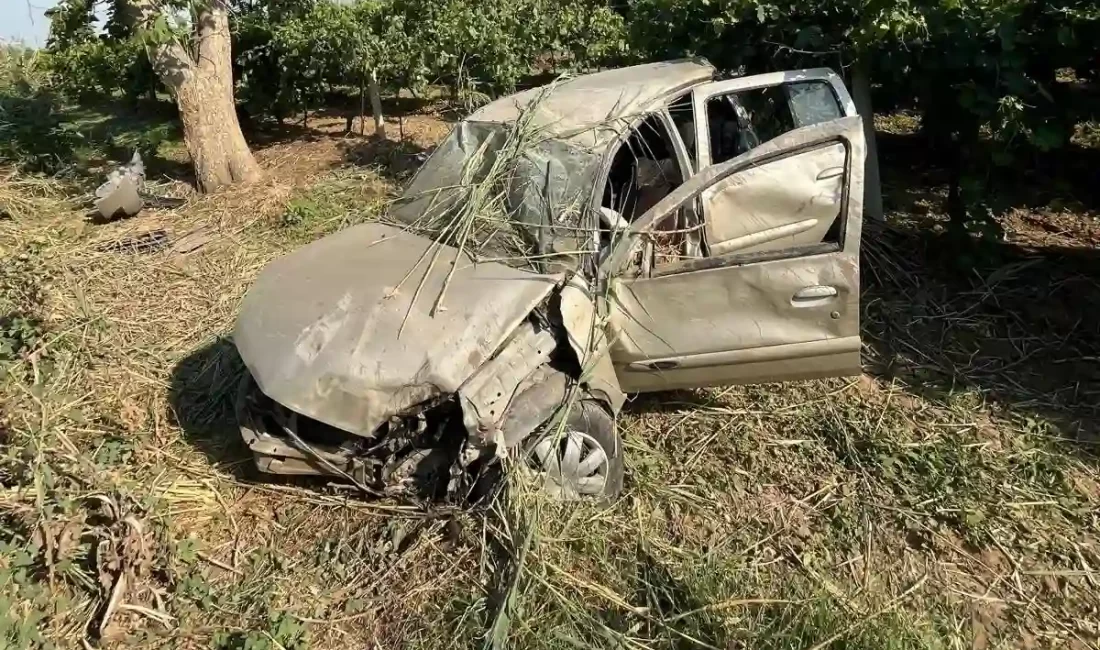 Manisa'nın Salihli ilçesinde, yoldan