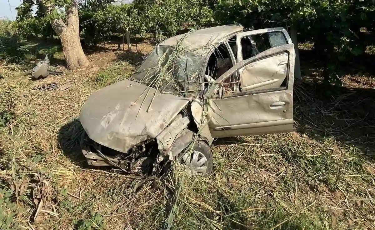 Üzüm bağına giren otomobilin sürücüsü yaralandı