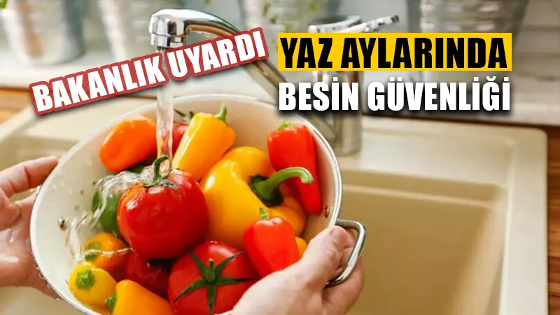 Yaz aylarında besin güvenliği nasıl sağlanır?