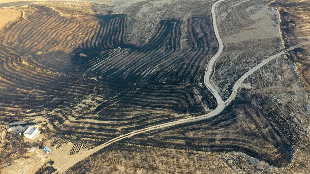 Diyarbakır ve Mardin arasında anız yangını: 5 ölü, 28 yaralı