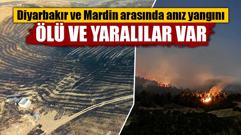 Diyarbakır'ın Çınar ile Mardin'in