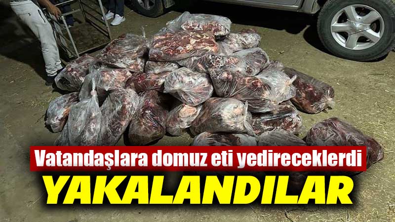 Aydın’da yaklaşık bir ton domuz eti ele geçirildi