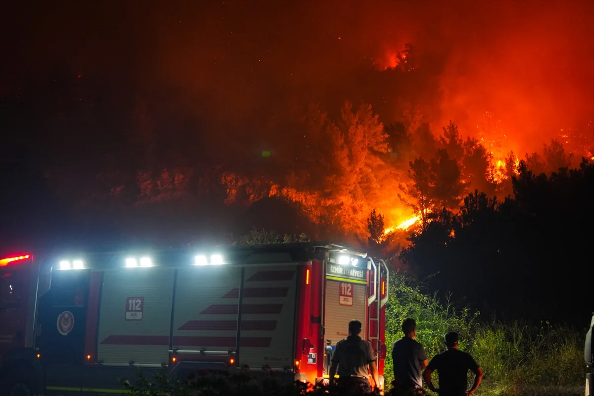 İzmir’in Selçuk ilçesinde orman yangını