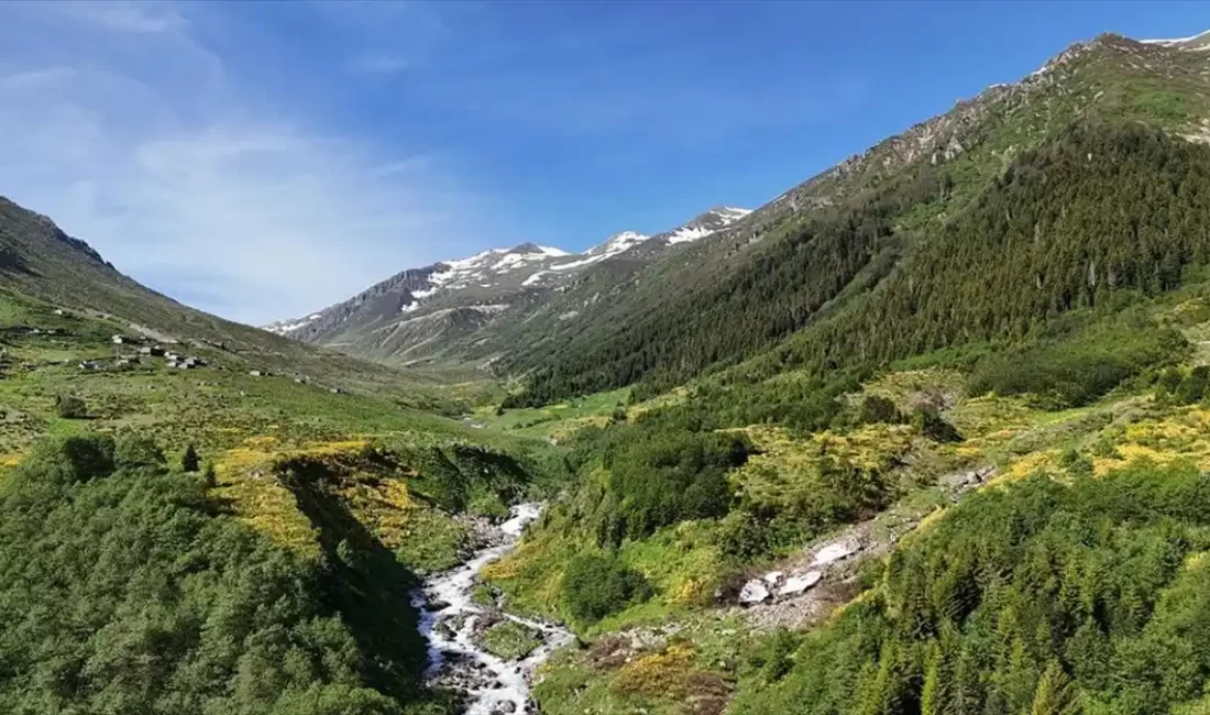 Rize'nin Çamlıhemşin ilçesi sınırlarındaki