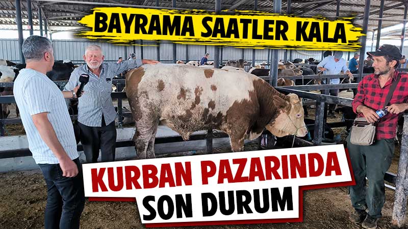 Kütahya’da kurbanlık pazarlıkları kıyasıya