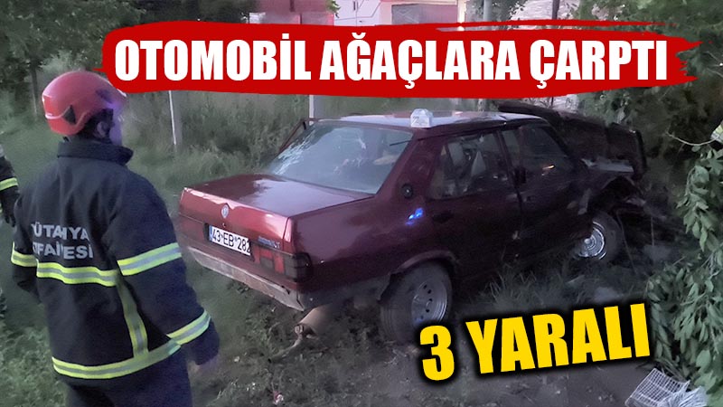 Kütahya’da otomobilin ağaçlara çarpması