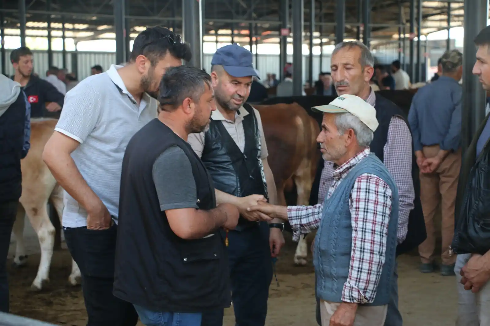 Kütahya’da kurbanlık fiyatlarında son durum 