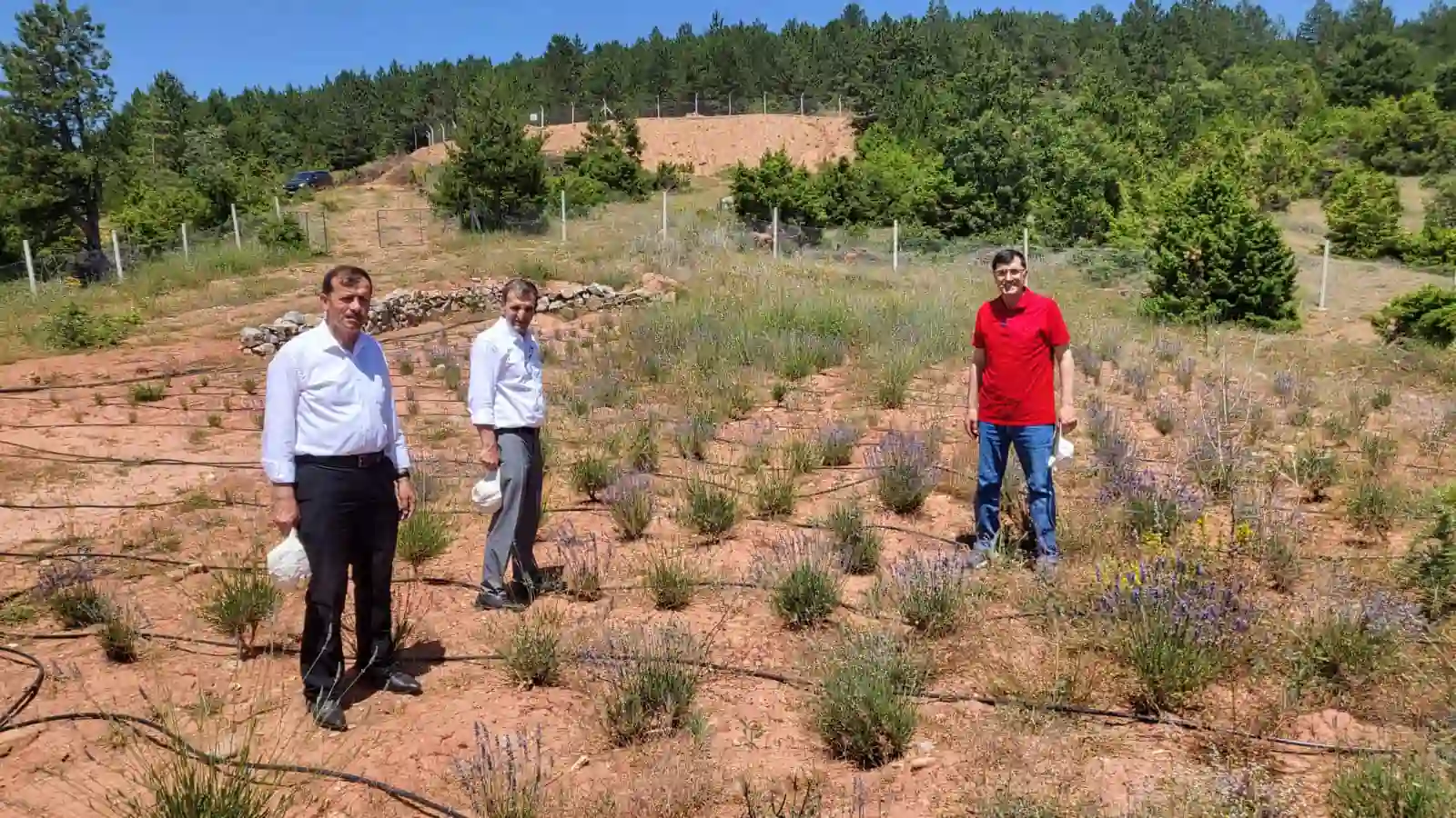 Kütahya’da tıbbi ve aromatik bitkiler konuşuldu