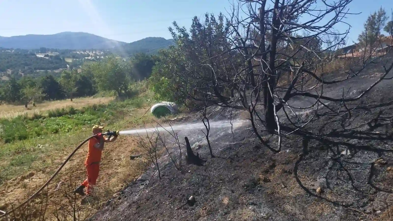 Kütahya’da 4 ziraat ve orman yangını çıktı 