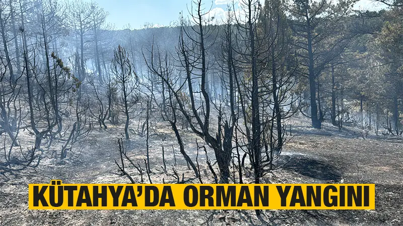 Kütahya’da ormanlık alanda çıkan yangına müdahale ediliyor