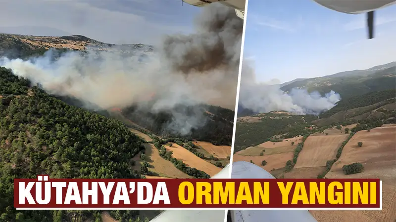 Kütahya’da orman yangını