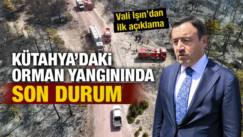 Kütahya'da çıkan orman yangını,