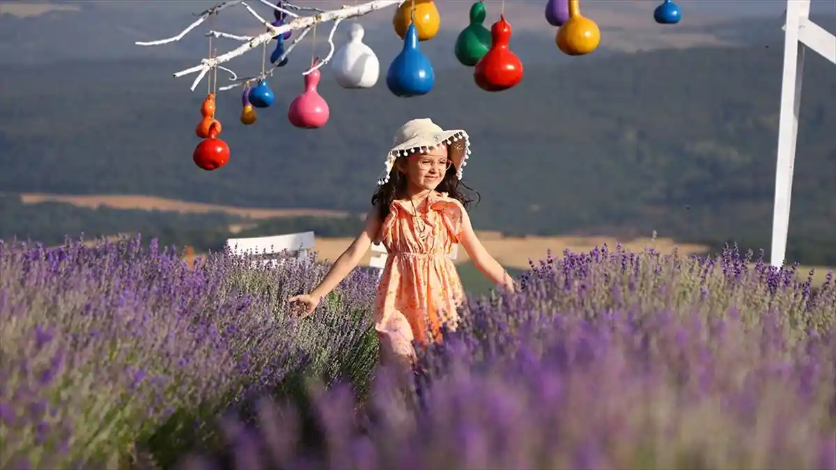 Tekirdağ’ın Mor Tarlalarında Foto Safari