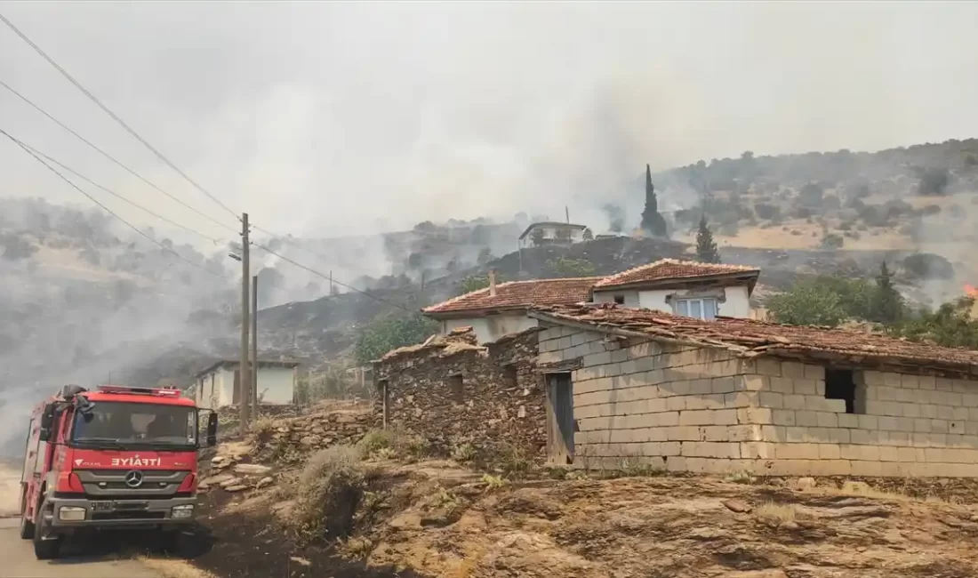 Manisa'nın Alaşehir ilçesinde otluk