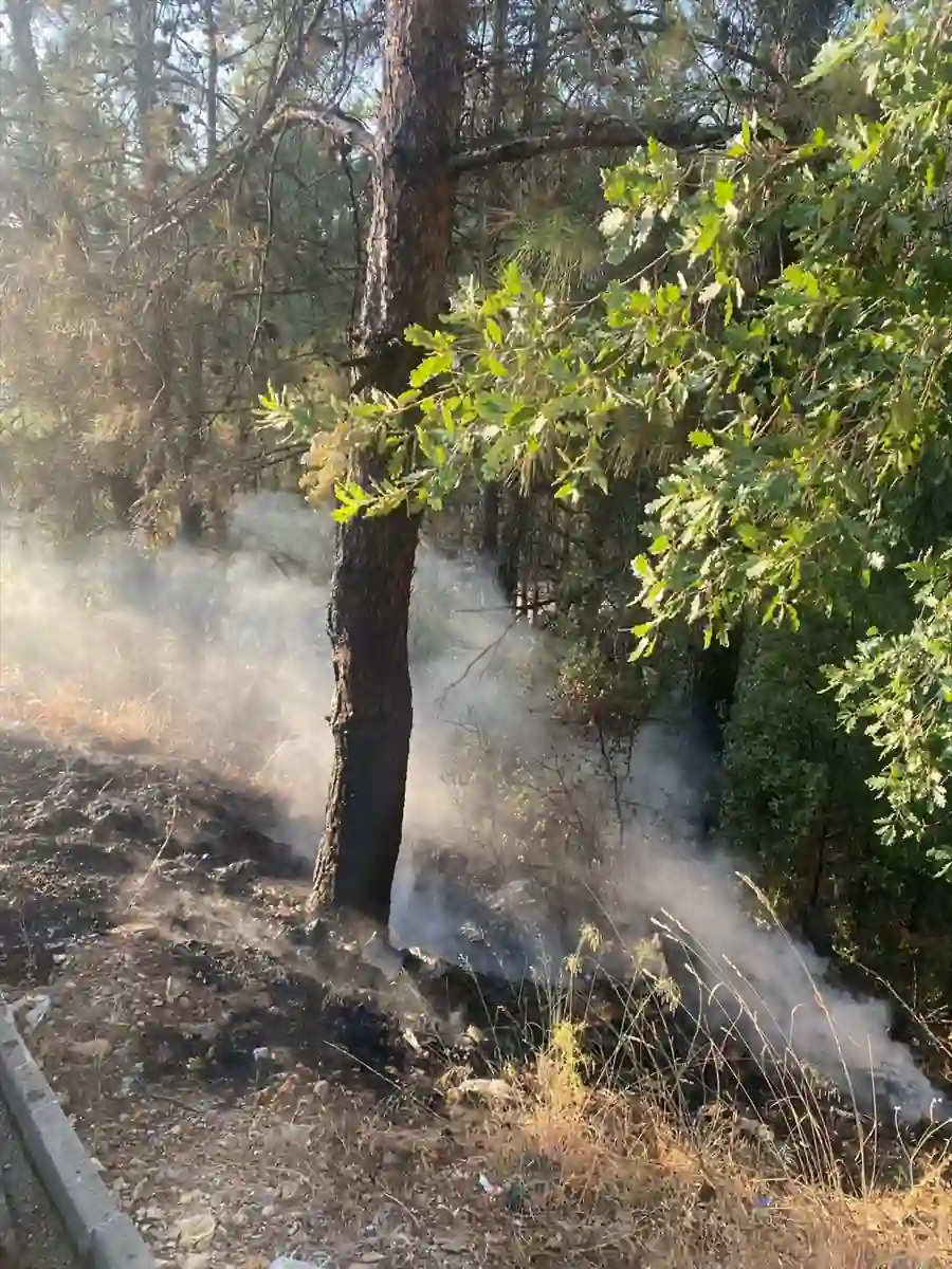 Muğla’da otomobilden ormana sıçrayan yangın söndürüldü