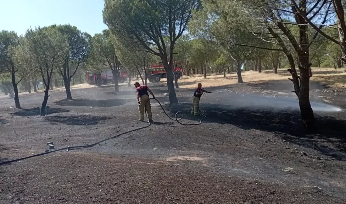 İzmir'in Karaburun ilçesinde çıkan