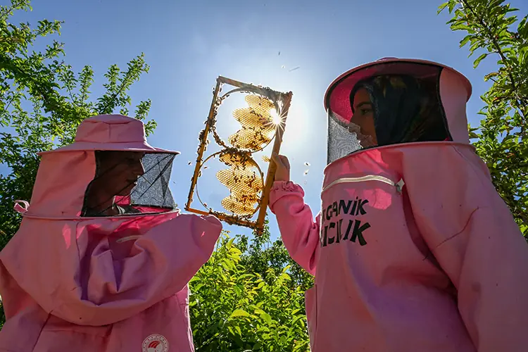 Pembe kıyafetli arıcılar ilham oluyor 