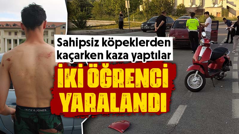 Kütahya’da kampüste köpekler kazaya neden oldu