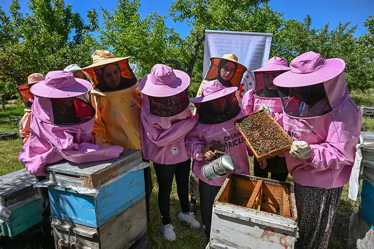 Pembe kıyafetli arıcılar ilham oluyor 