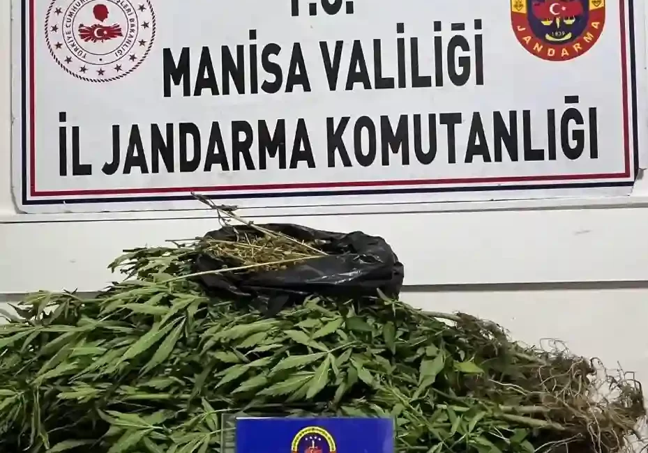 Manisa'nın Salihli ilçesinde gerçekleştirilen