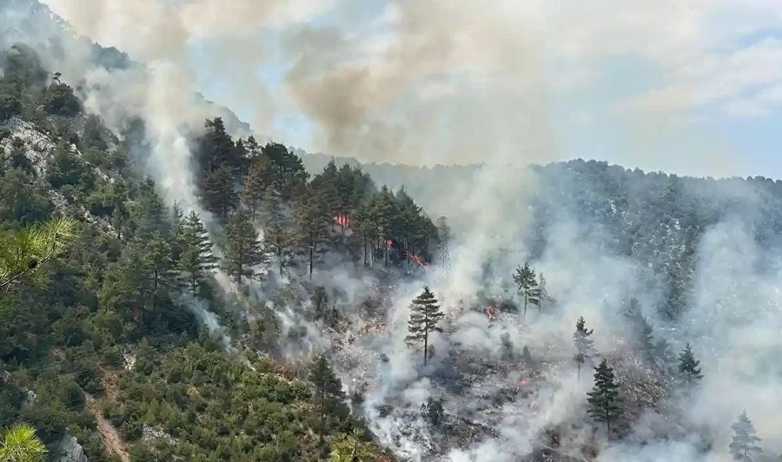 Adana'da orman yangını. Yangın,