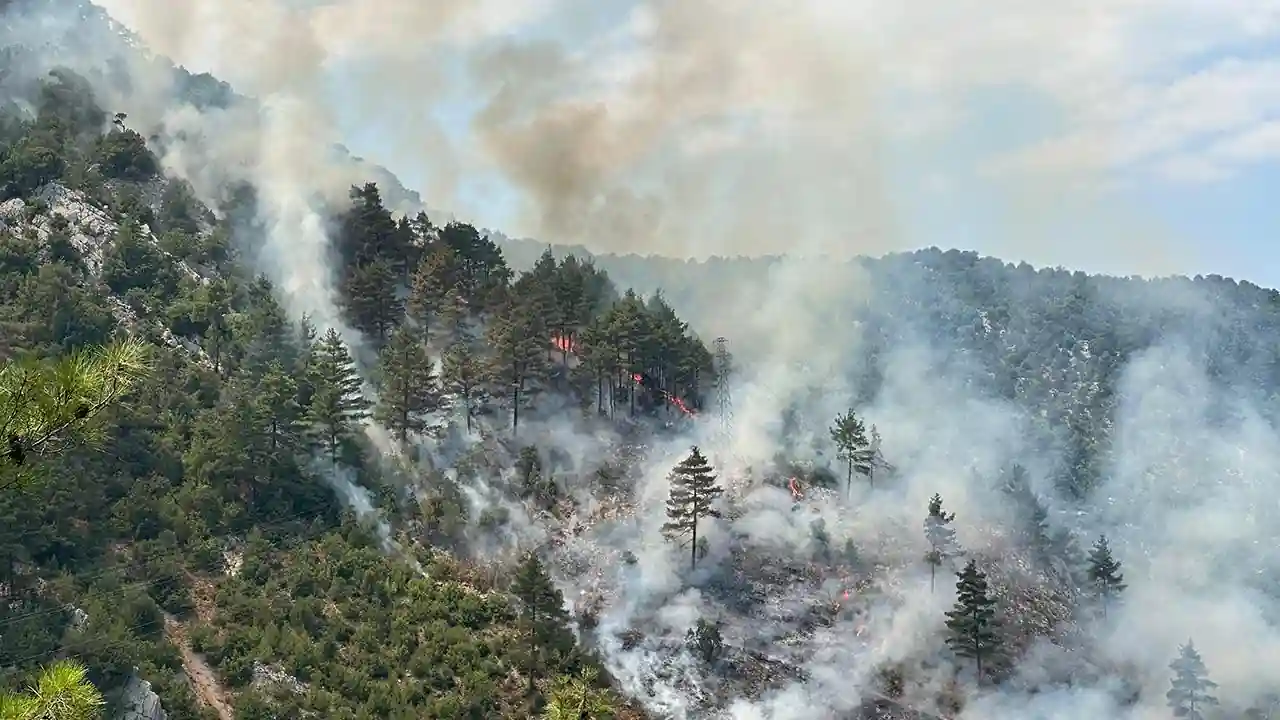 Adana’da orman yangını