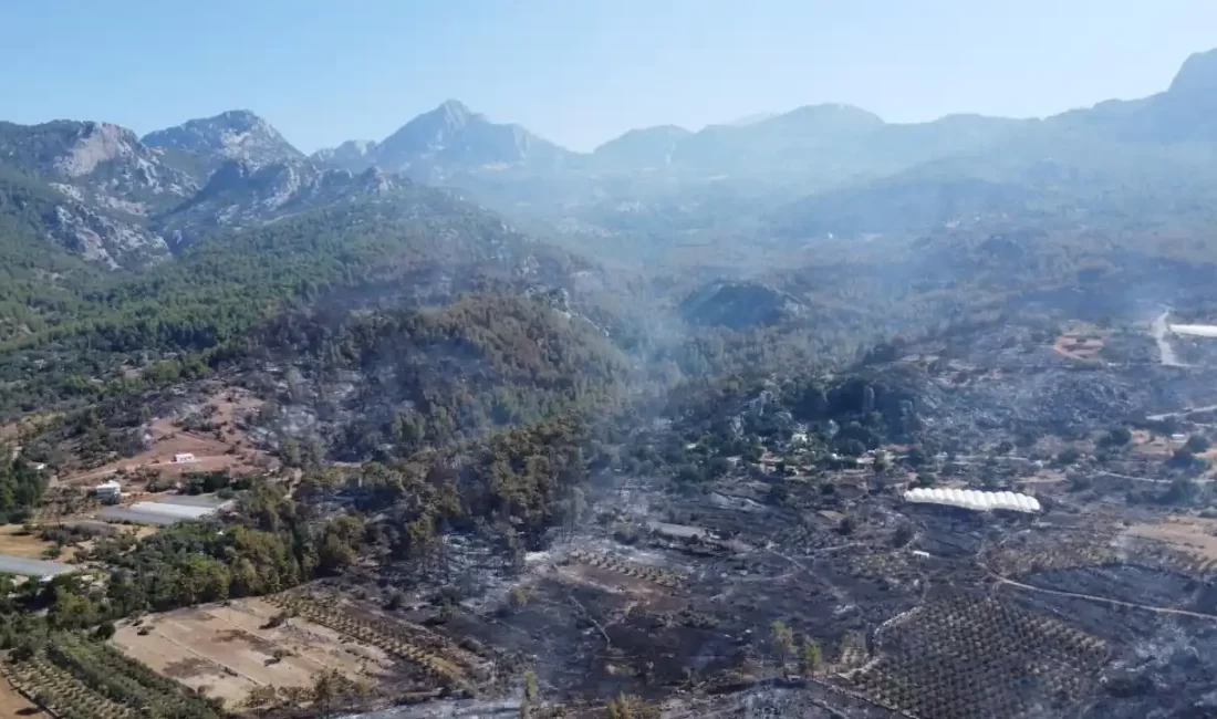 Antalya'da orman yangını kontrol