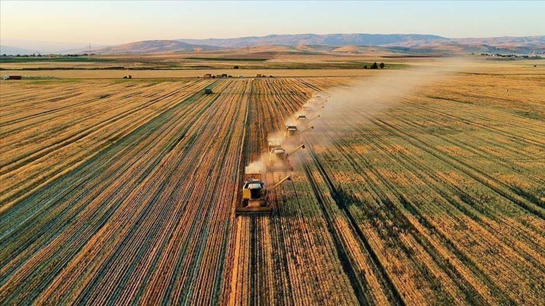 Bakan Yumaklı: Destekleme ödemesi çiftçilerin hesaplarına aktarıldı