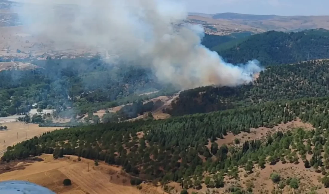 Balıkesir'de orman yangını. Ayvatlar