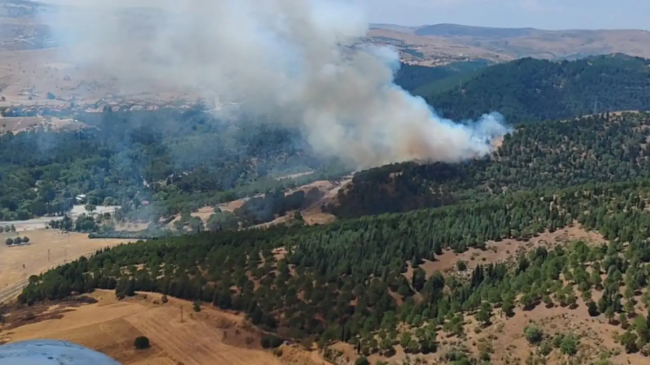 Balıkesir’de orman yangını