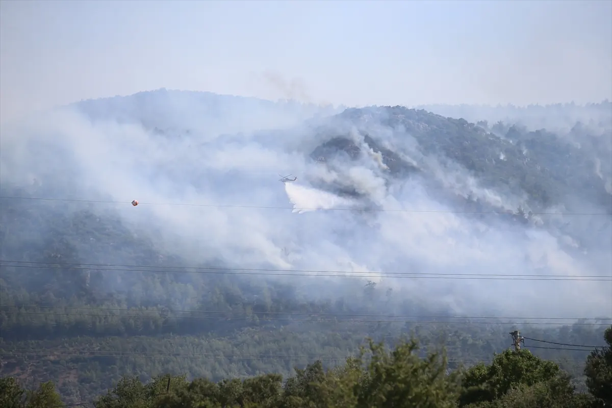 Bodrum’da orman yangını çıktı