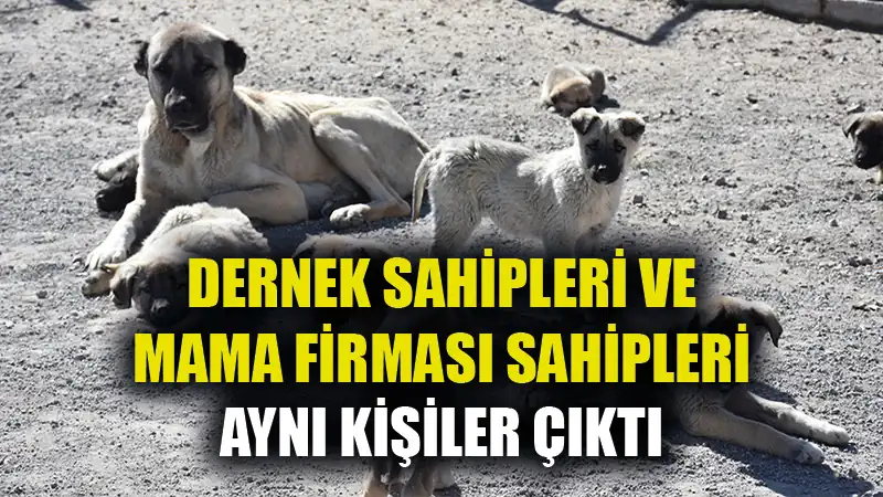 Hayvan sever dernekleriyle mama firması sahipleri aynı kişiler çıktı