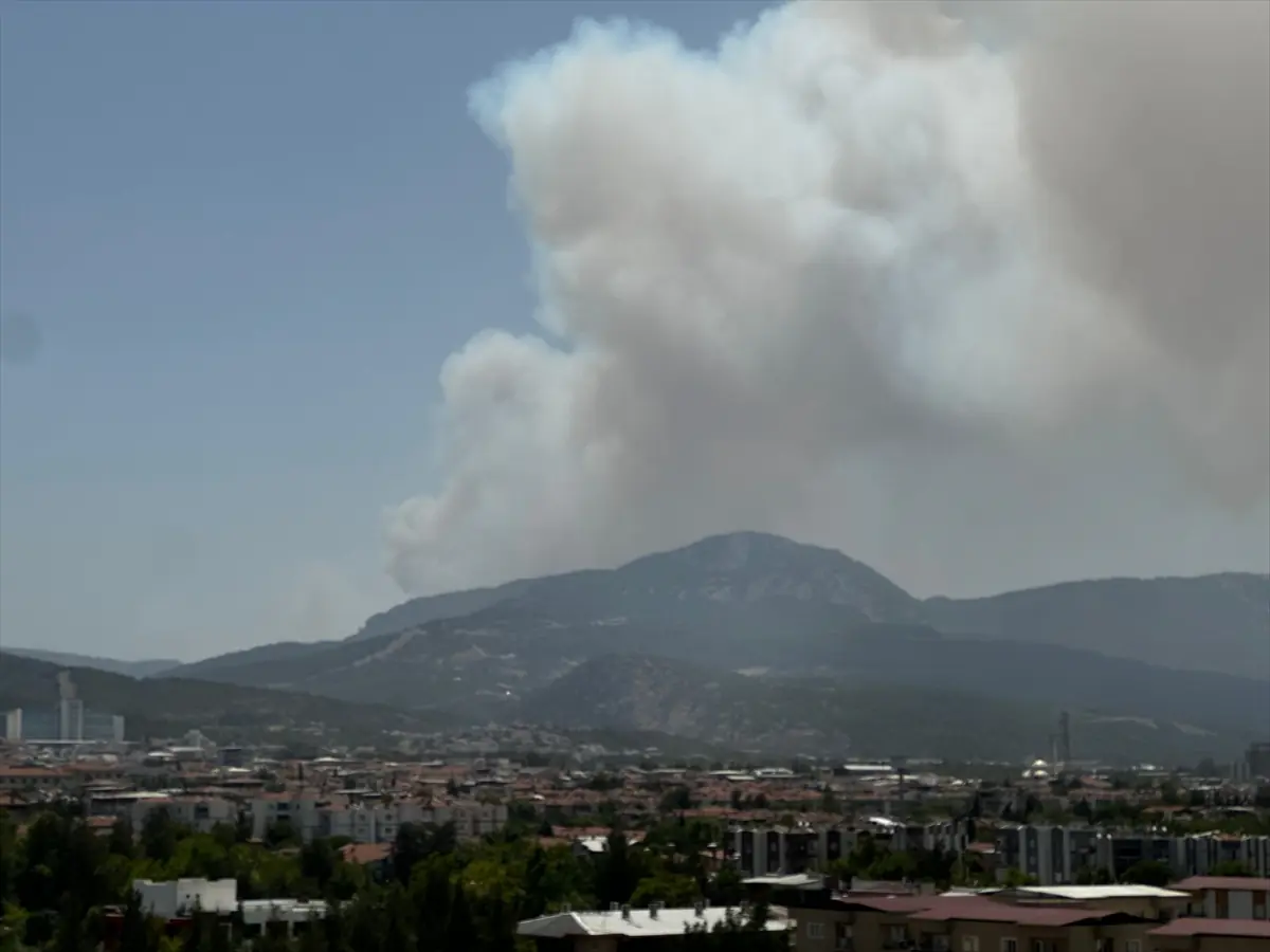 İzmir Bornova’da çıkan orman yangınına müdahale ediliyor