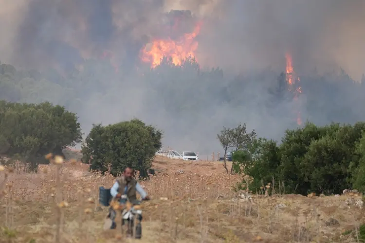 İzmir Gaziemir’de ormanlık alanda yangın çıktı