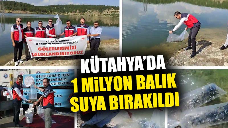 Kütahya’da 1 milyon balık suya bırakıldı